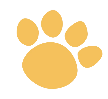 Pawfinity Co